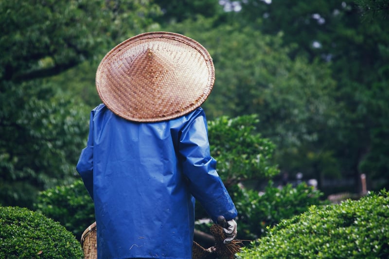 Gardening Forum